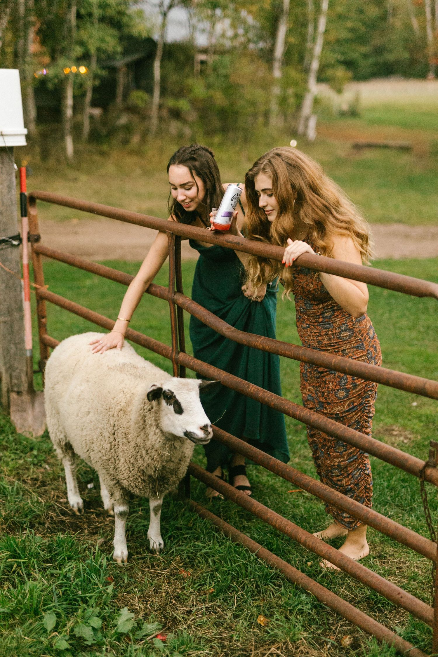 Two women in dresses petting a sheep through a wooden fence on a farm.
