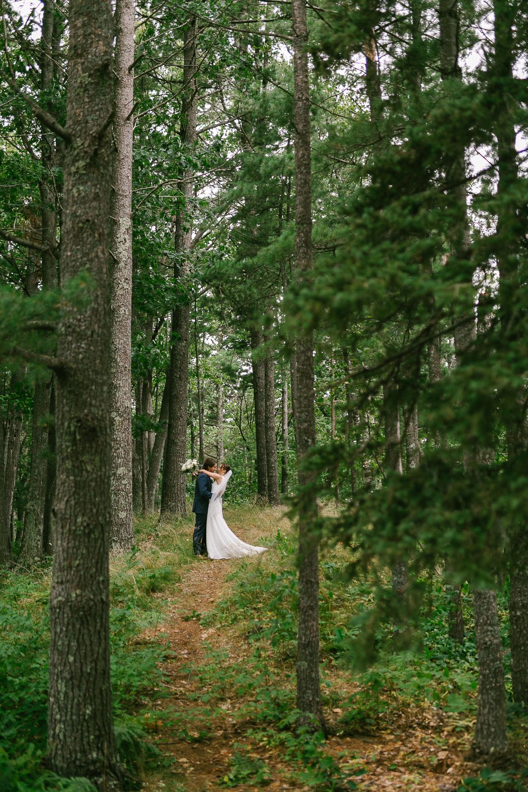 Wedding couple walking through a serene forest path lined with tall pine trees.