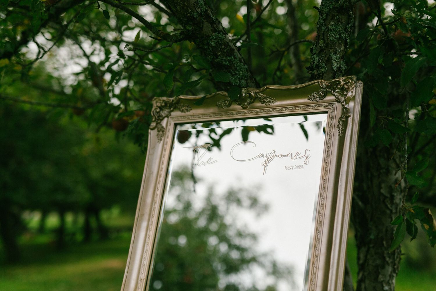 A vintage ornate mirror leans against a tree trunk in a lush green garden setting.