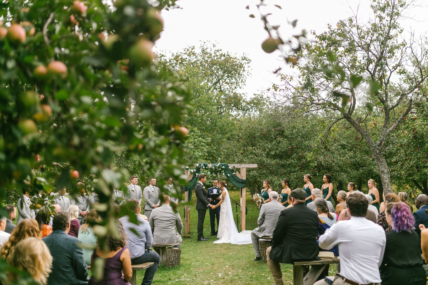 A wedding ceremony takes place in a lush apple orchard with guests seated on wooden benches among the trees.