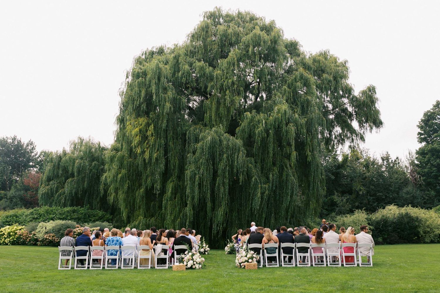 Outdoor wedding ceremony setup with white chairs arranged beneath a majestic weeping willow tree in a garden setting.