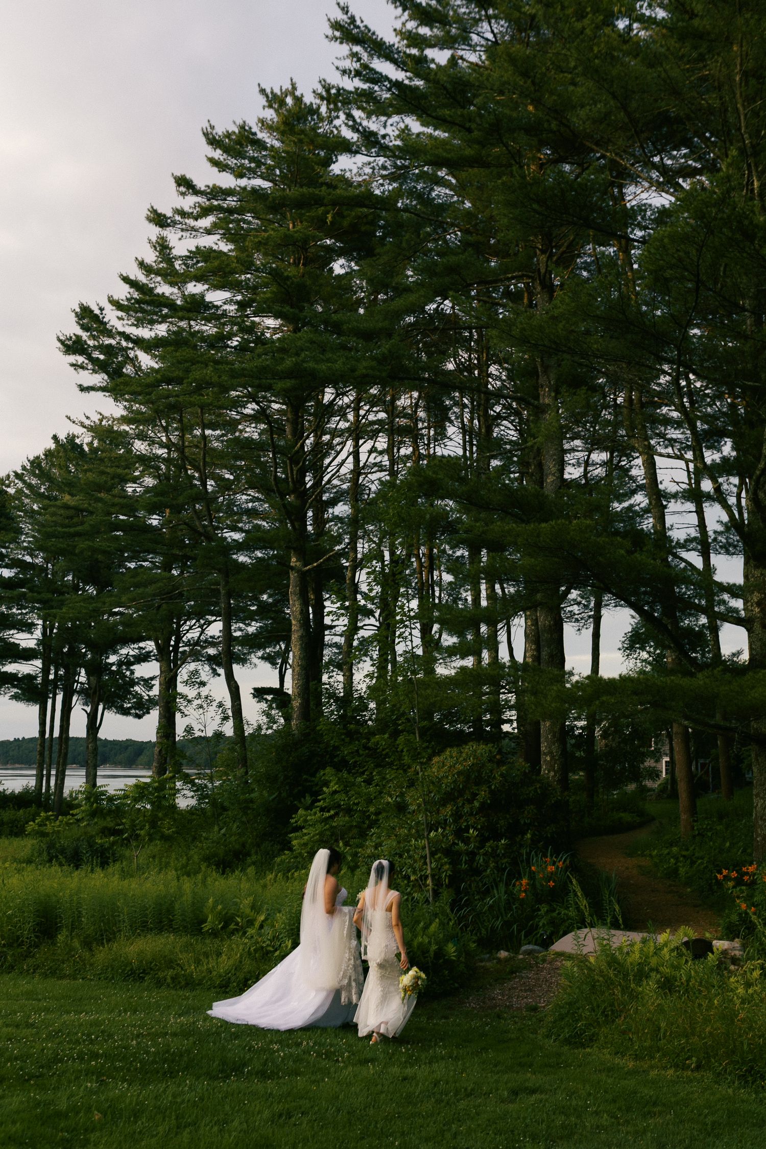 Two brides in white gowns and veils walk hand in hand across a lush green lawn surrounded by tall pine trees.