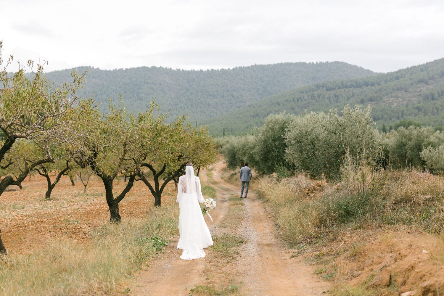 Two figures walk along a scenic dirt path surrounded by olive trees and rolling hills on a sunny day in the countryside.