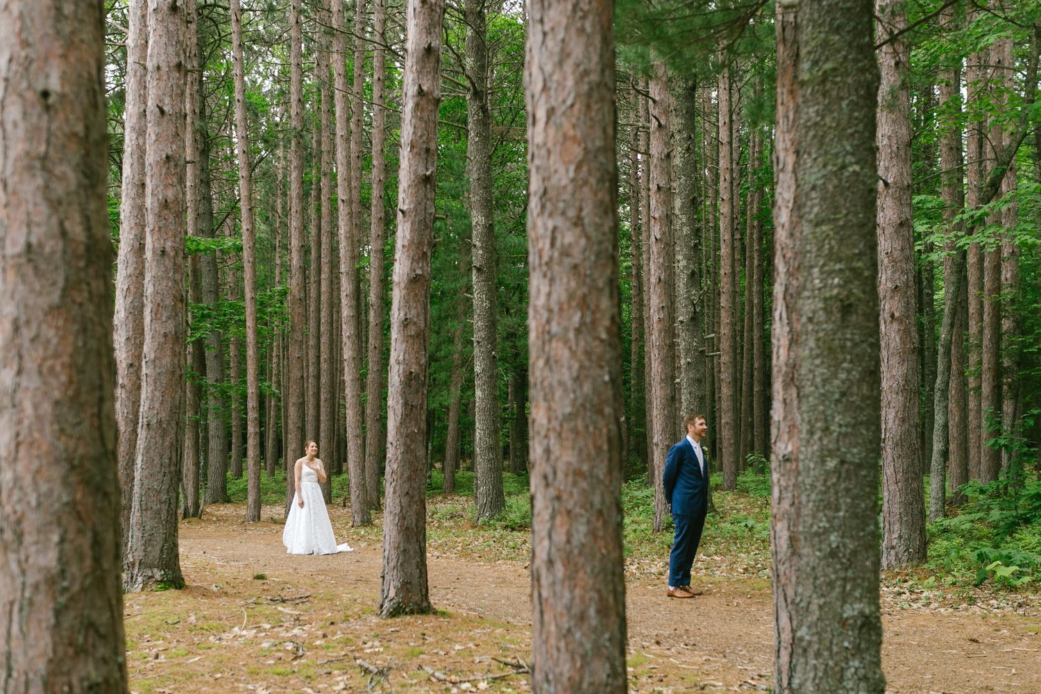 A couple stands separately among tall pine trees in a forest wedding setting.