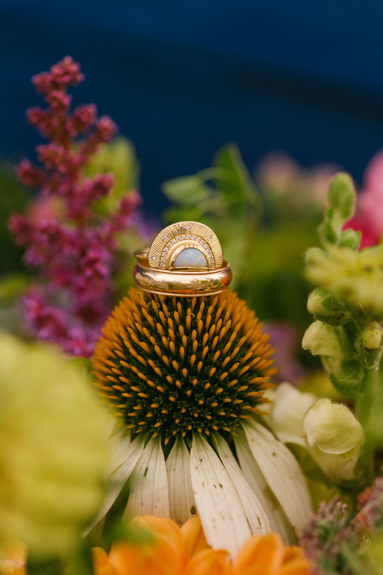 Wedding rings delicately placed on a white coneflower with spiky center against a blurred colorful background.