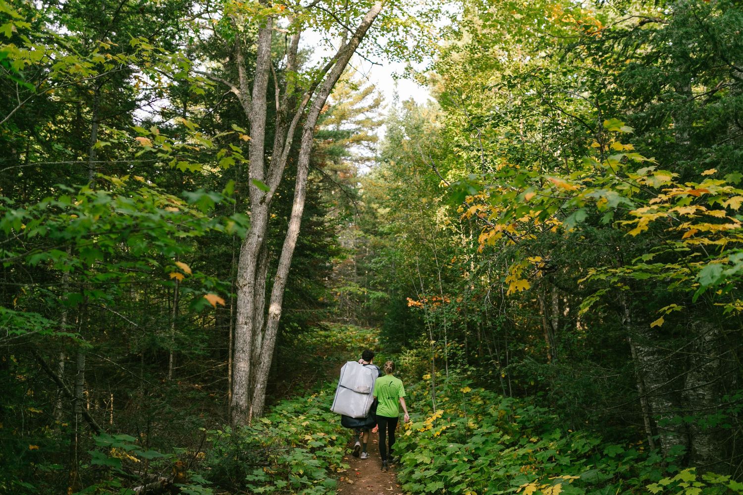 A hiker walks along a lush forest trail surrounded by green trees and autumn foliage in natural sunlight.