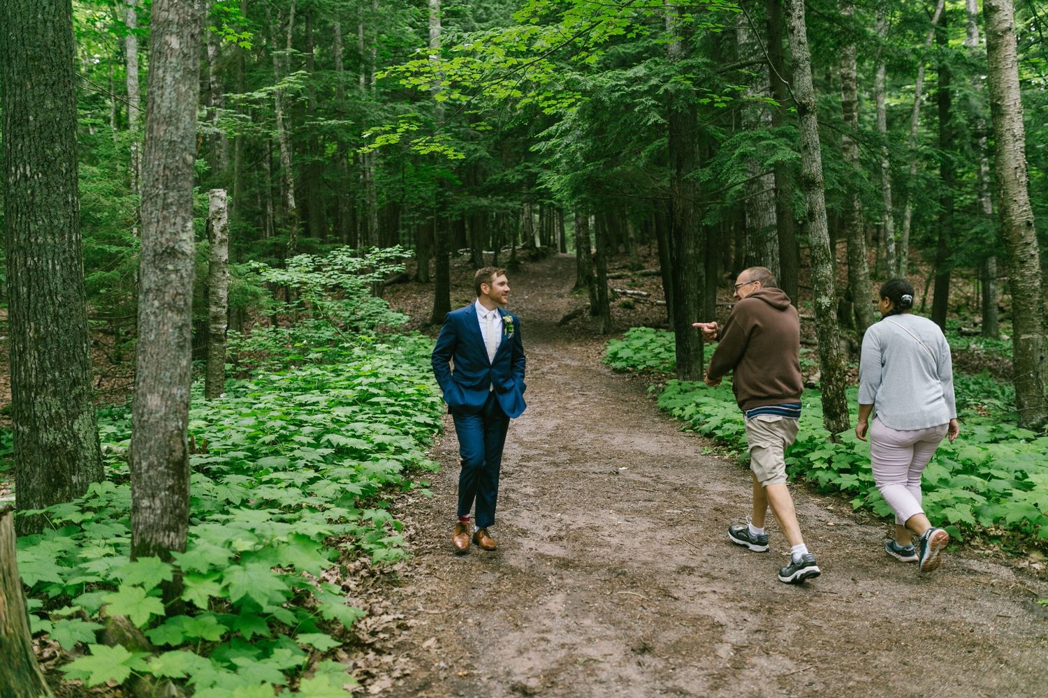 Hikers walking along a winding dirt trail through lush green forest during summer.
