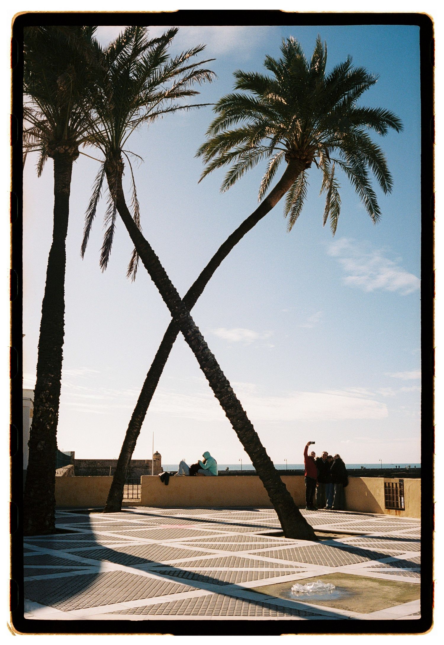 Two crossed palm trees forming an X shape on a sunny Mediterranean promenade with people and blue sky.