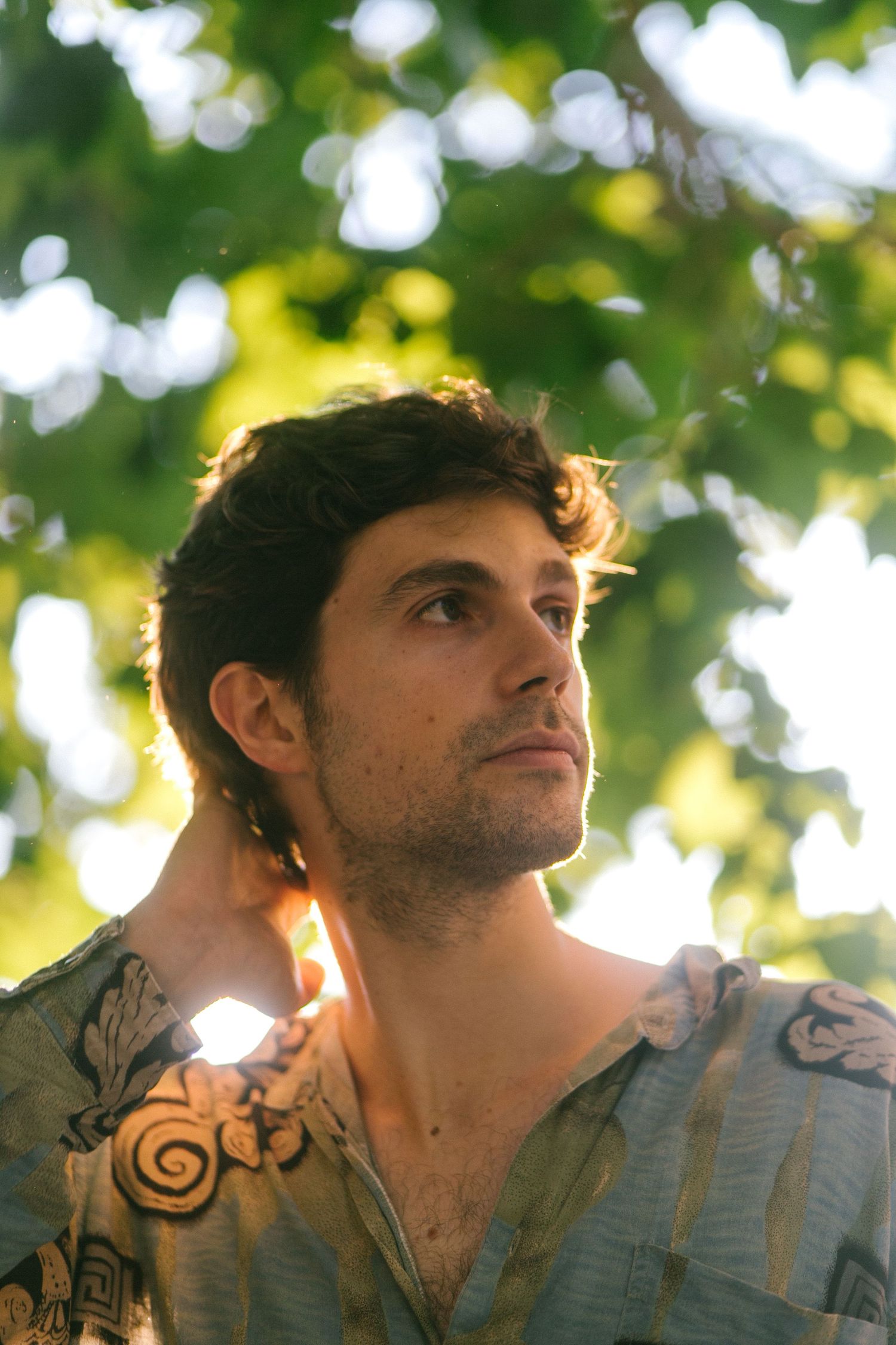A young man with stubble looks upward thoughtfully beneath green sunlit tree canopy outdoors.