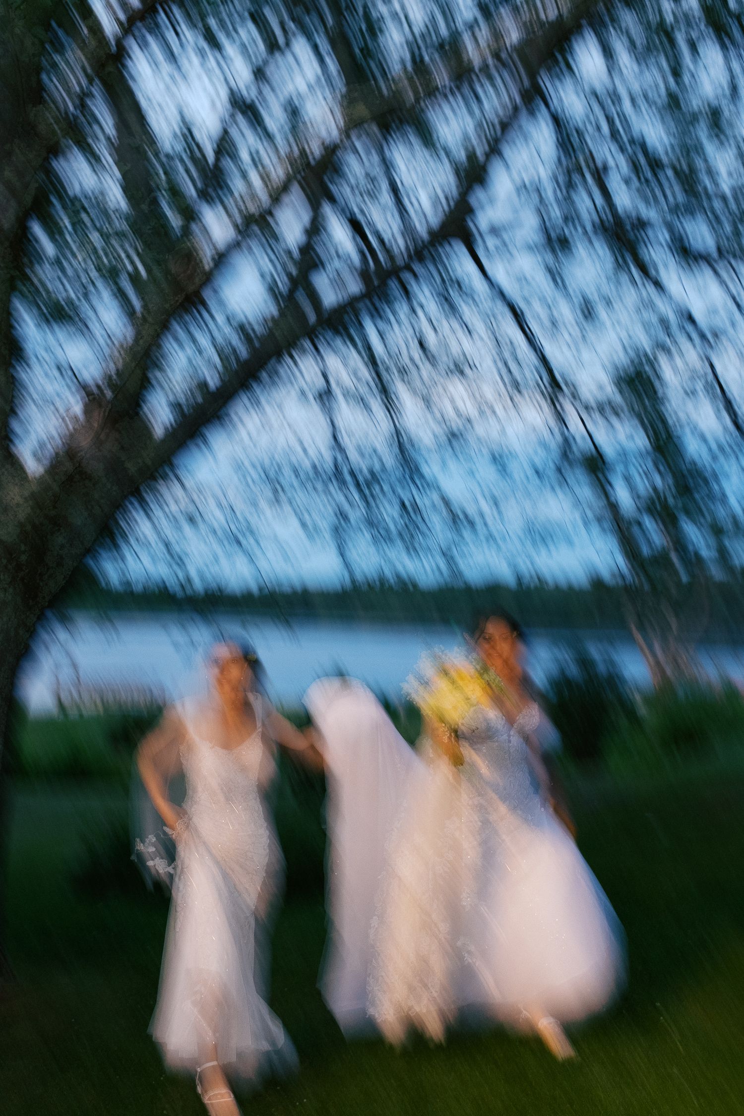 Blurred motion photo of bride and bridesmaids in white dresses running outdoors near a tree by the Kennebec River at dusk.