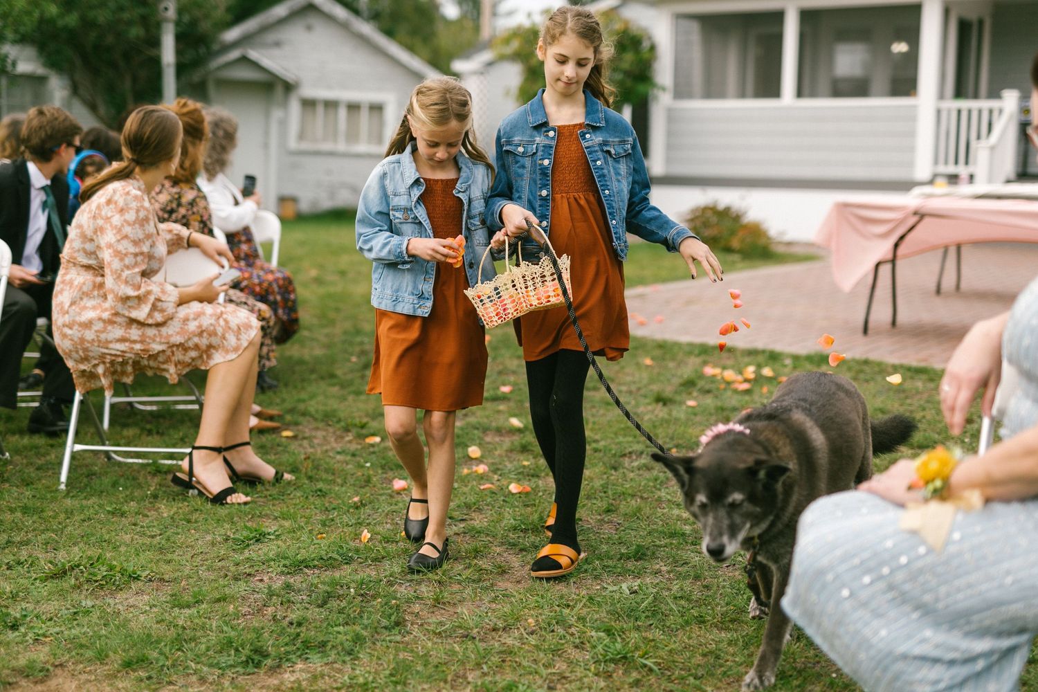 Guests mingle outdoors at a casual garden party while a dog walks among them.
