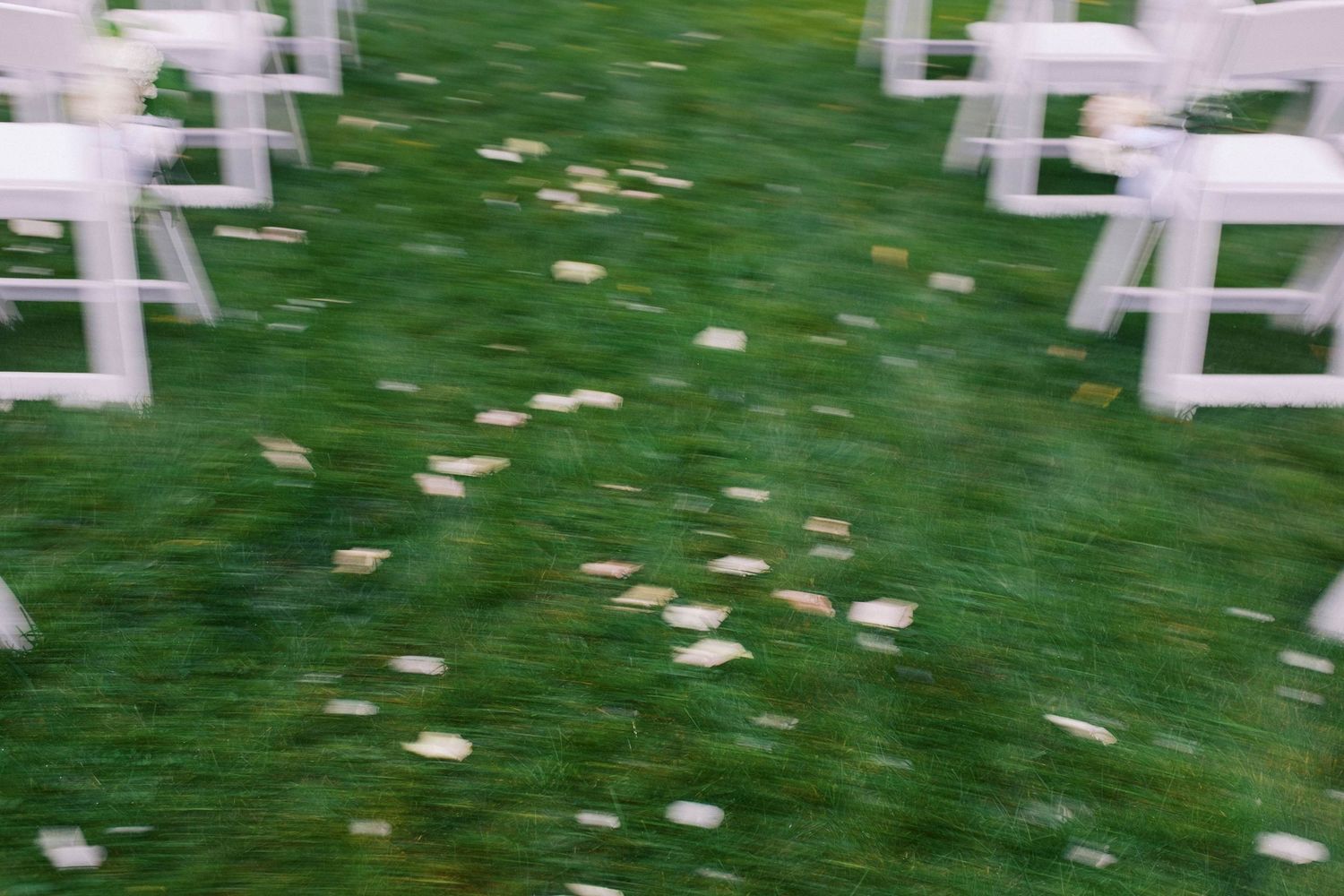 White rose petals scattered on green grass between rows of white chairs at an outdoor wedding ceremony setup.