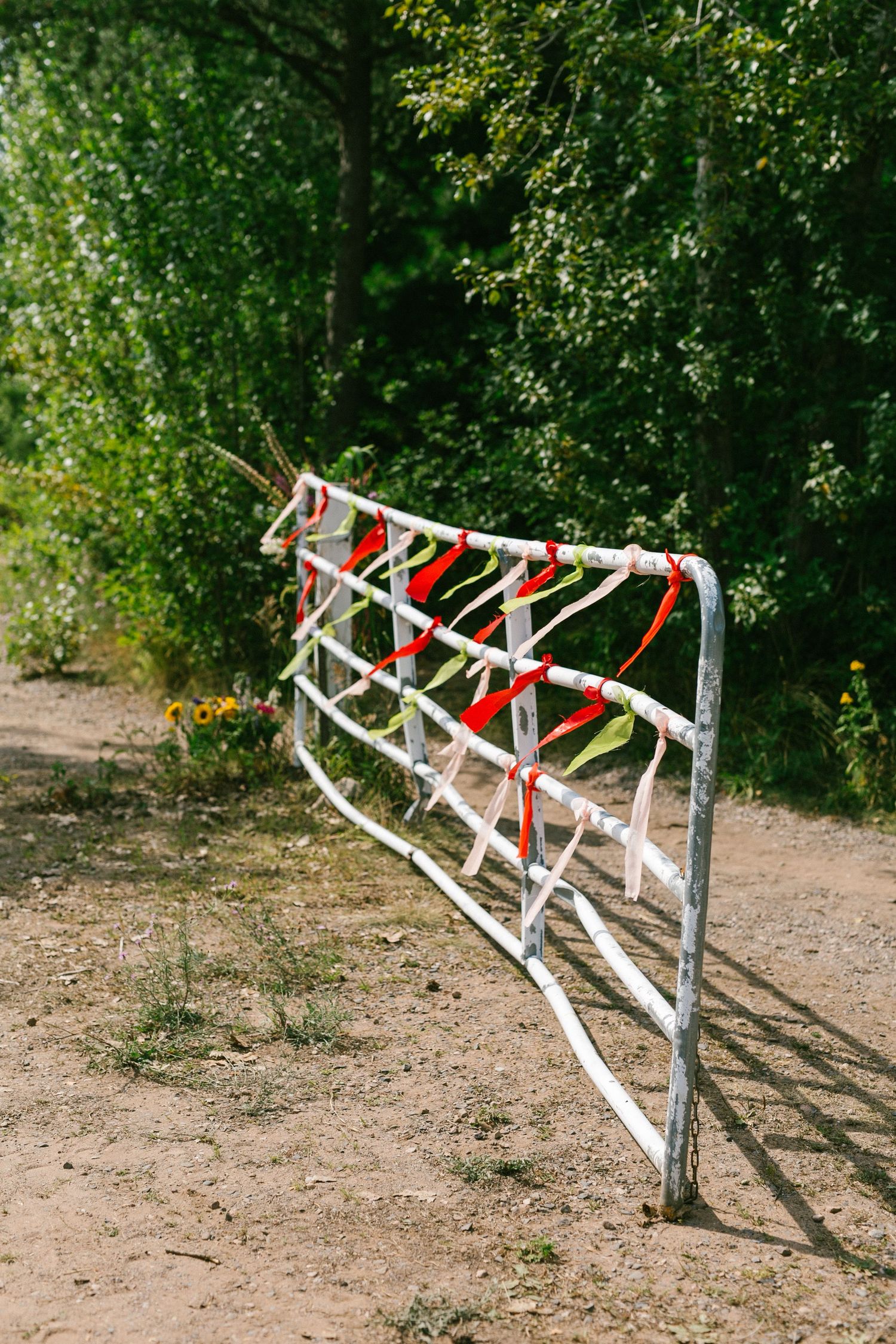 A rustic wooden fence decorated with red ribbons lines a dirt path.