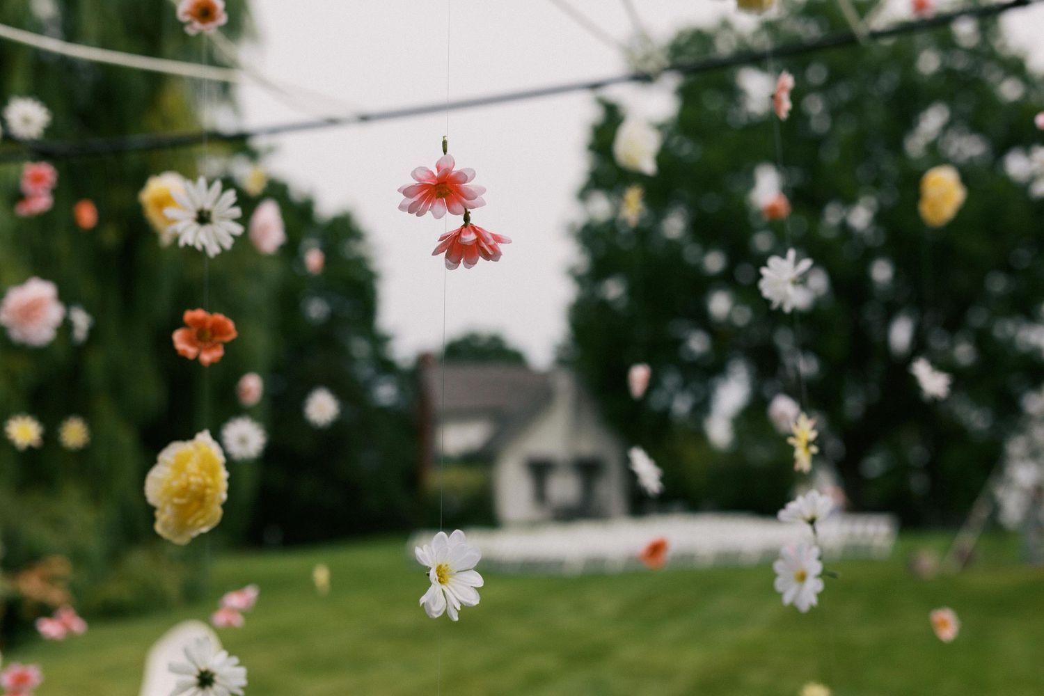 Delicate pink and white flower petals falling against a blurred green garden background in soft focus.