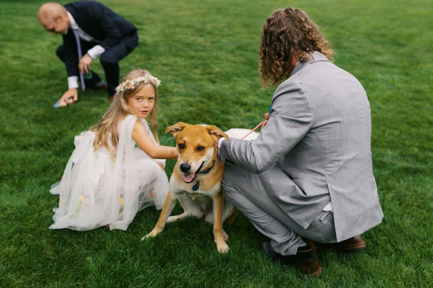 A tan and white dog is being petted on a grassy lawn while wearing formal wedding attire.