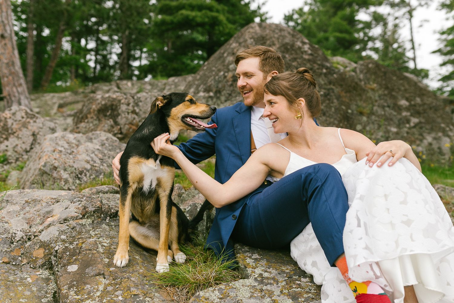 Wedding couple posing outdoors with their dog on rocky terrain surrounded by pine trees.