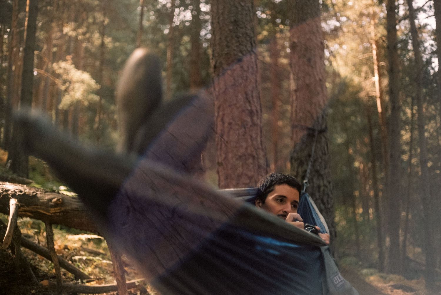 Man resting in hammock among tall pine trees in a sunlit forest, with a blurred foreground element.
