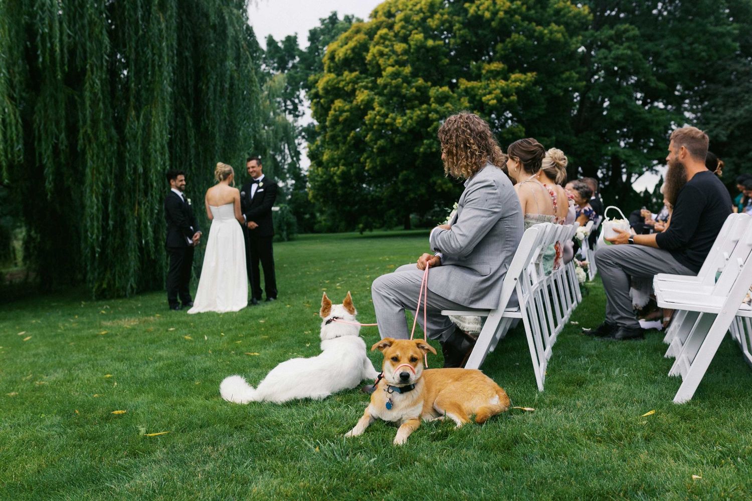 A series of outdoor wedding photos showing people relaxing on the lawn with a corgi dog present at the celebration.