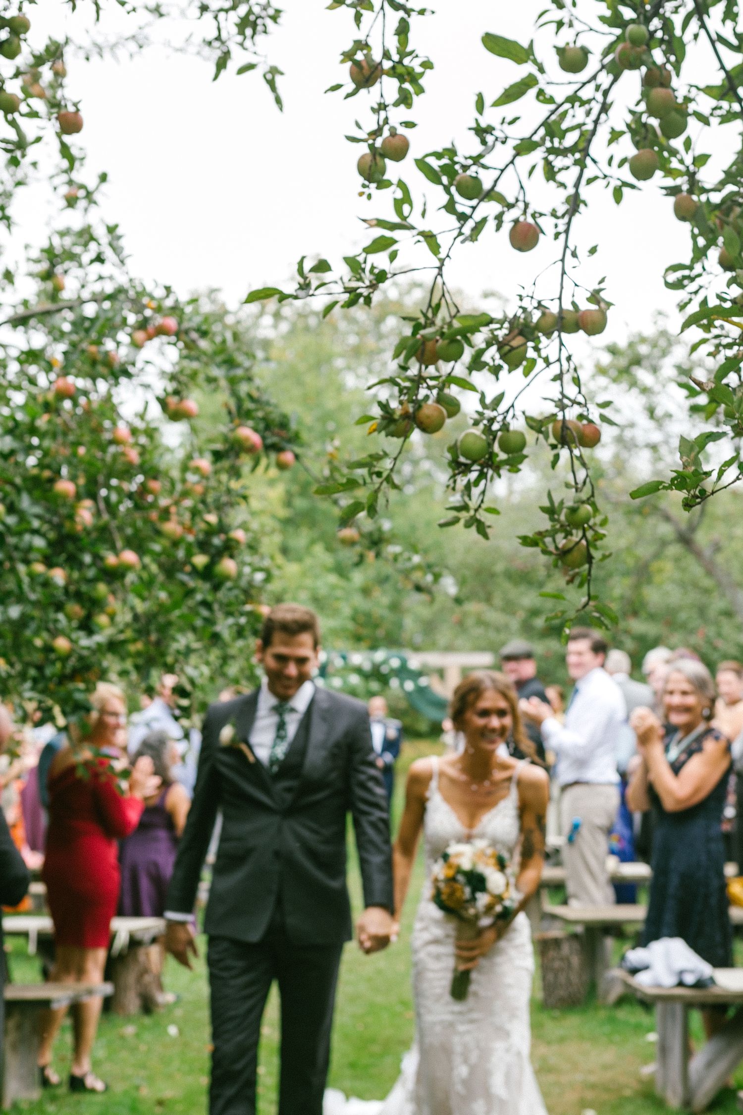 Wedding couple walking beneath apple trees while guests look on during an orchard celebration.