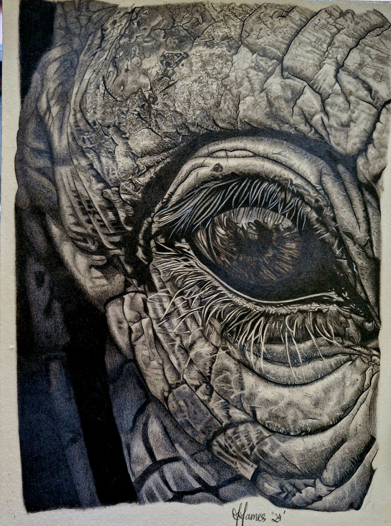 Detailed charcoal drawing series showing progressive close-up views of a realistic human eye with textured skin details.