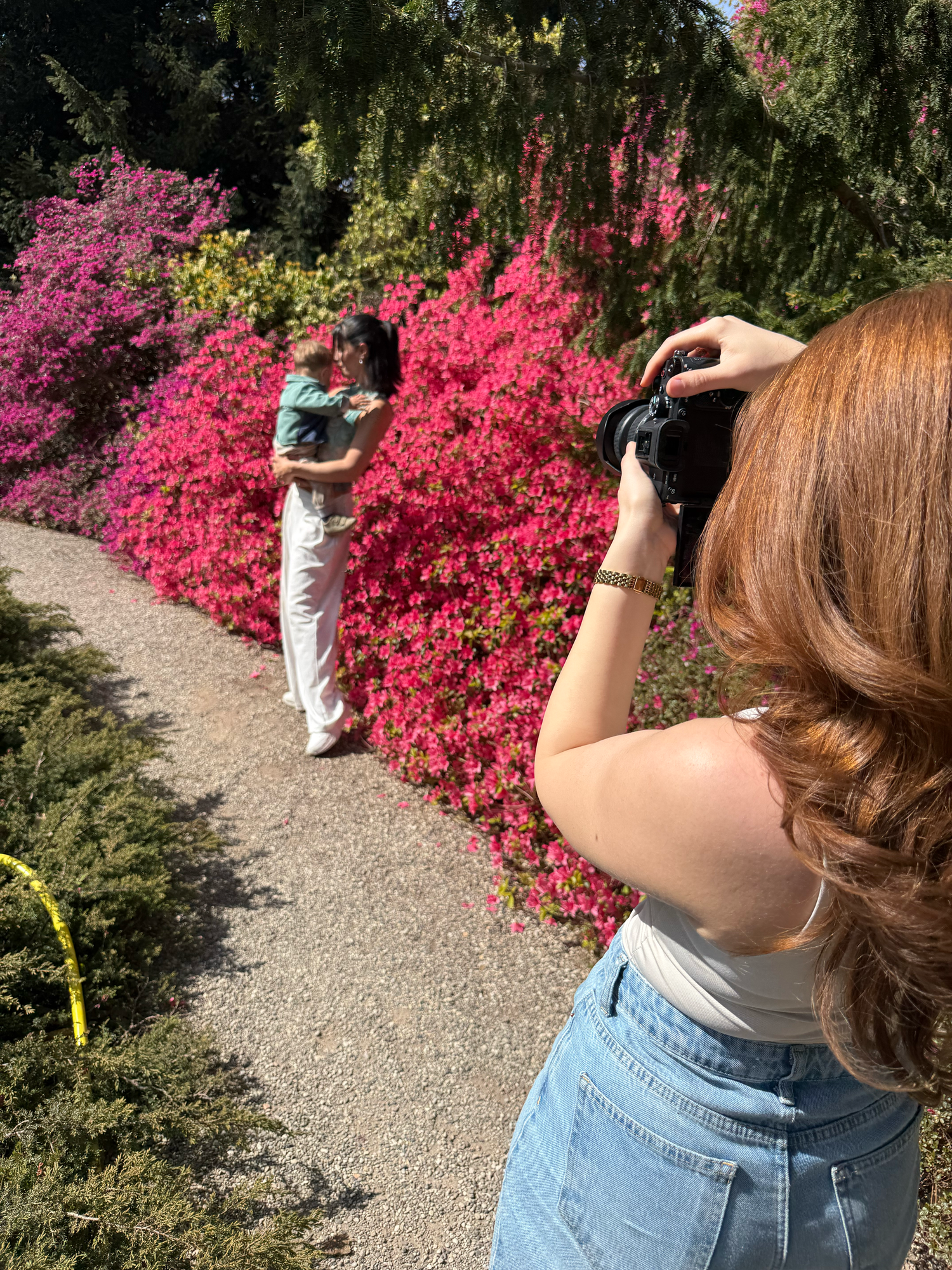 Red-haired photographer captures woman posing in front of vibrant pink flowering bushes outdoors.