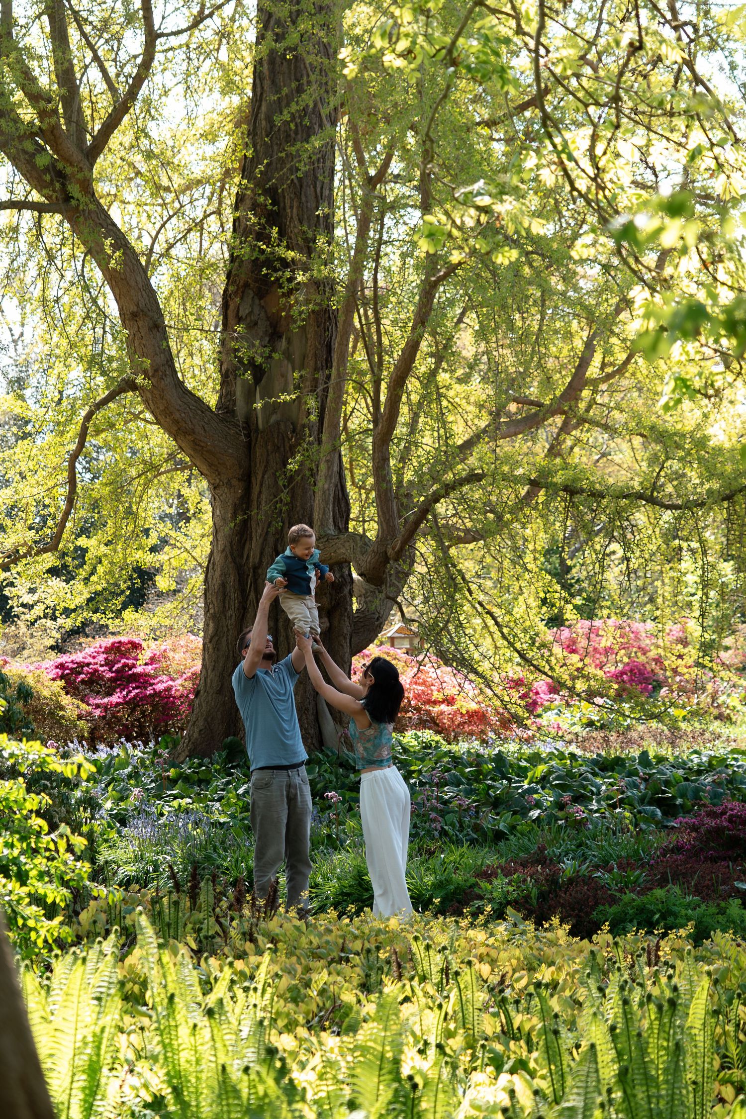 Family playing under a large tree in a lush green garden with colorful flowers in the background.