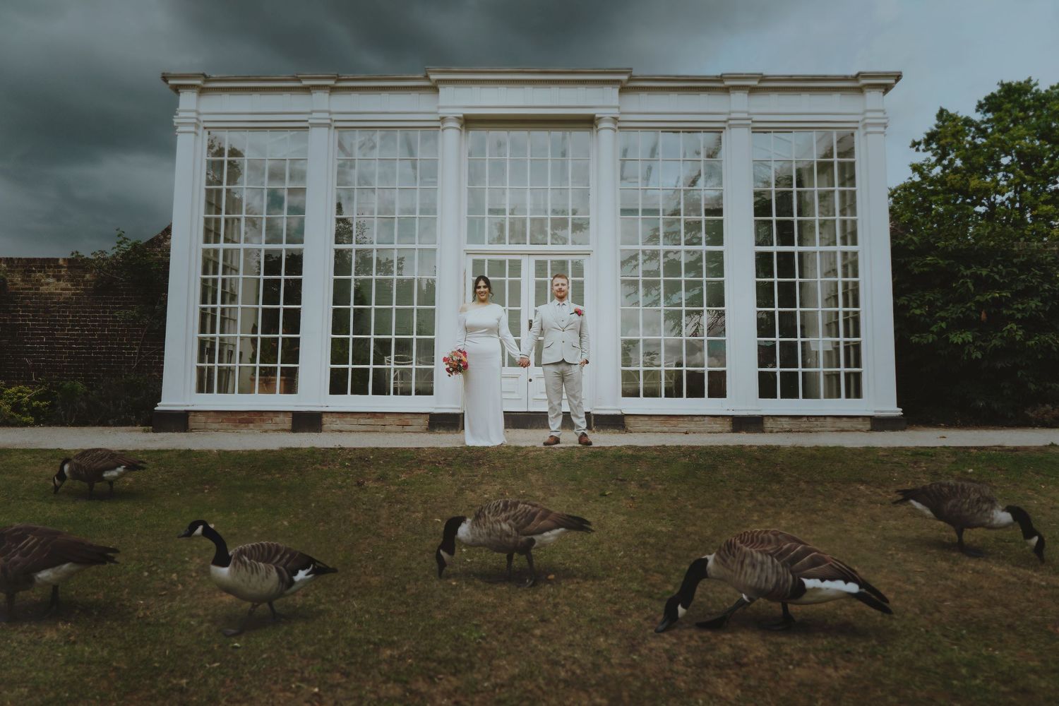 Bride and groom standing before a grand white greenhouse with Canada geese grazing nearby.