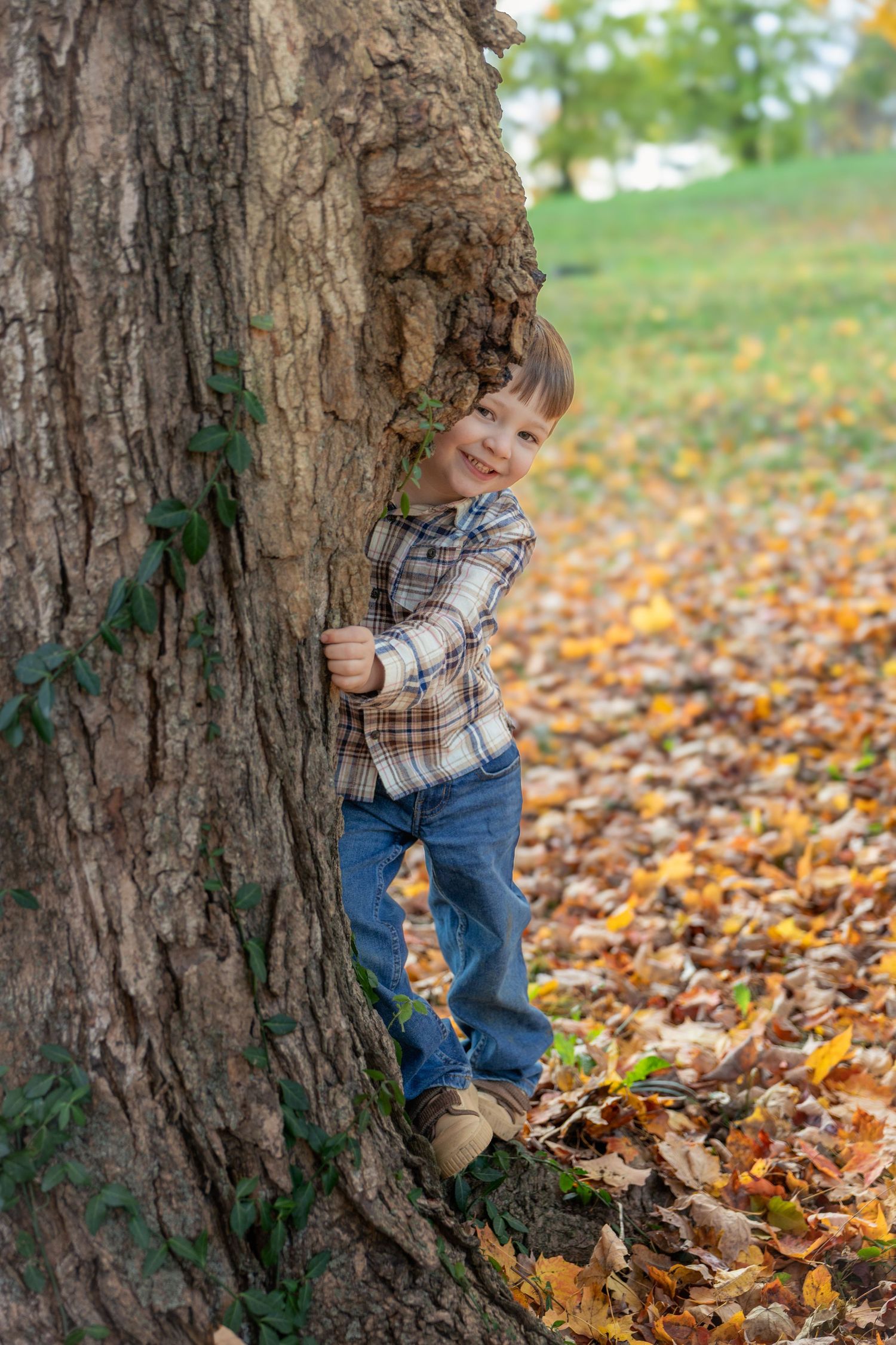 A small child peeks playfully from behind a large tree trunk surrounded by fallen autumn leaves on the ground.