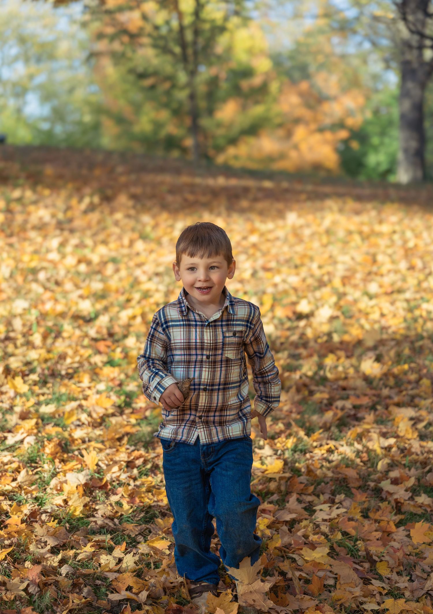 A child in a plaid shirt and jeans plays among fallen autumn leaves in a park setting during fall.