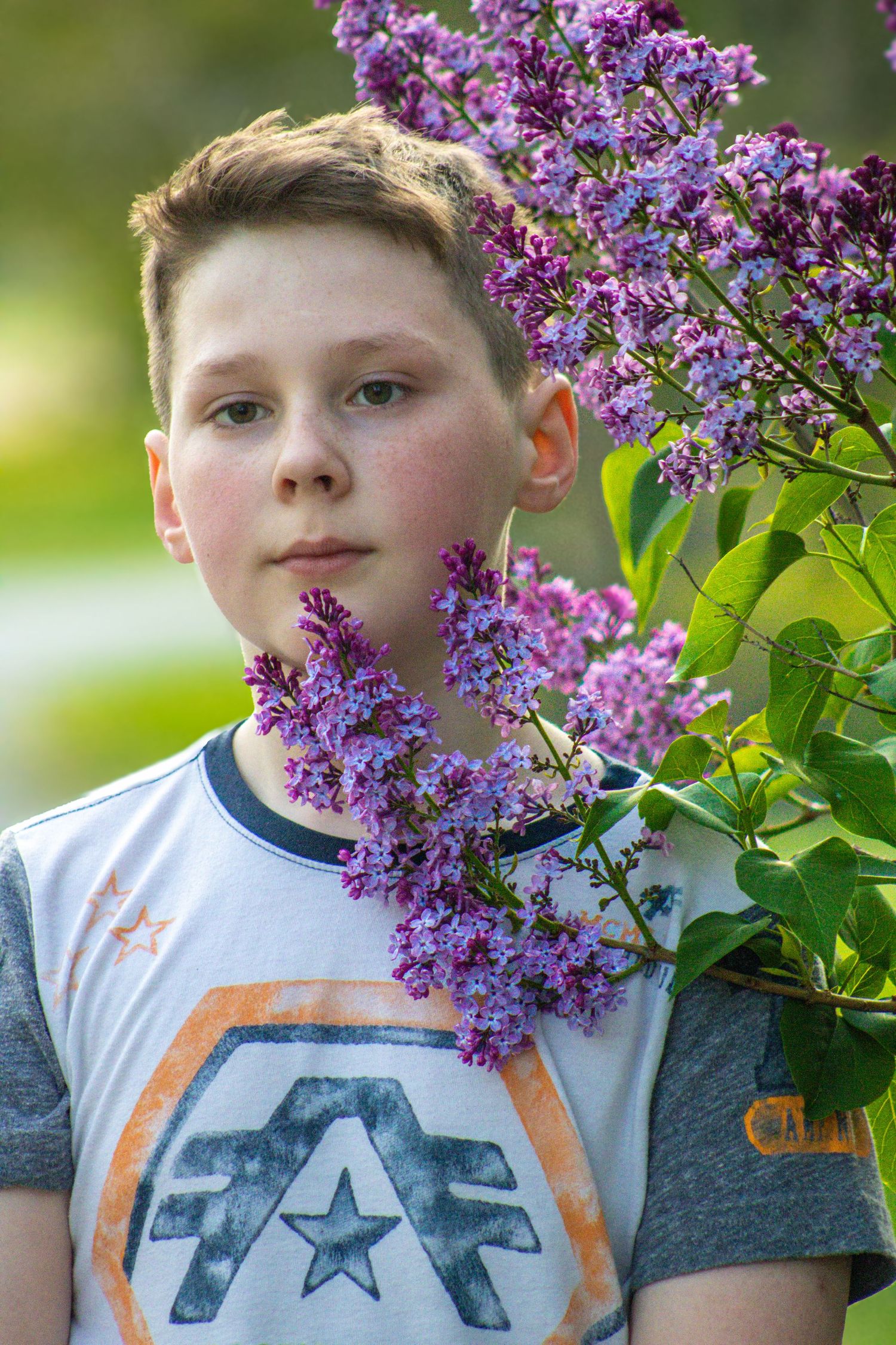 Beautiful blooming lilac bush with purple flowers against a soft blurred background on a spring day.