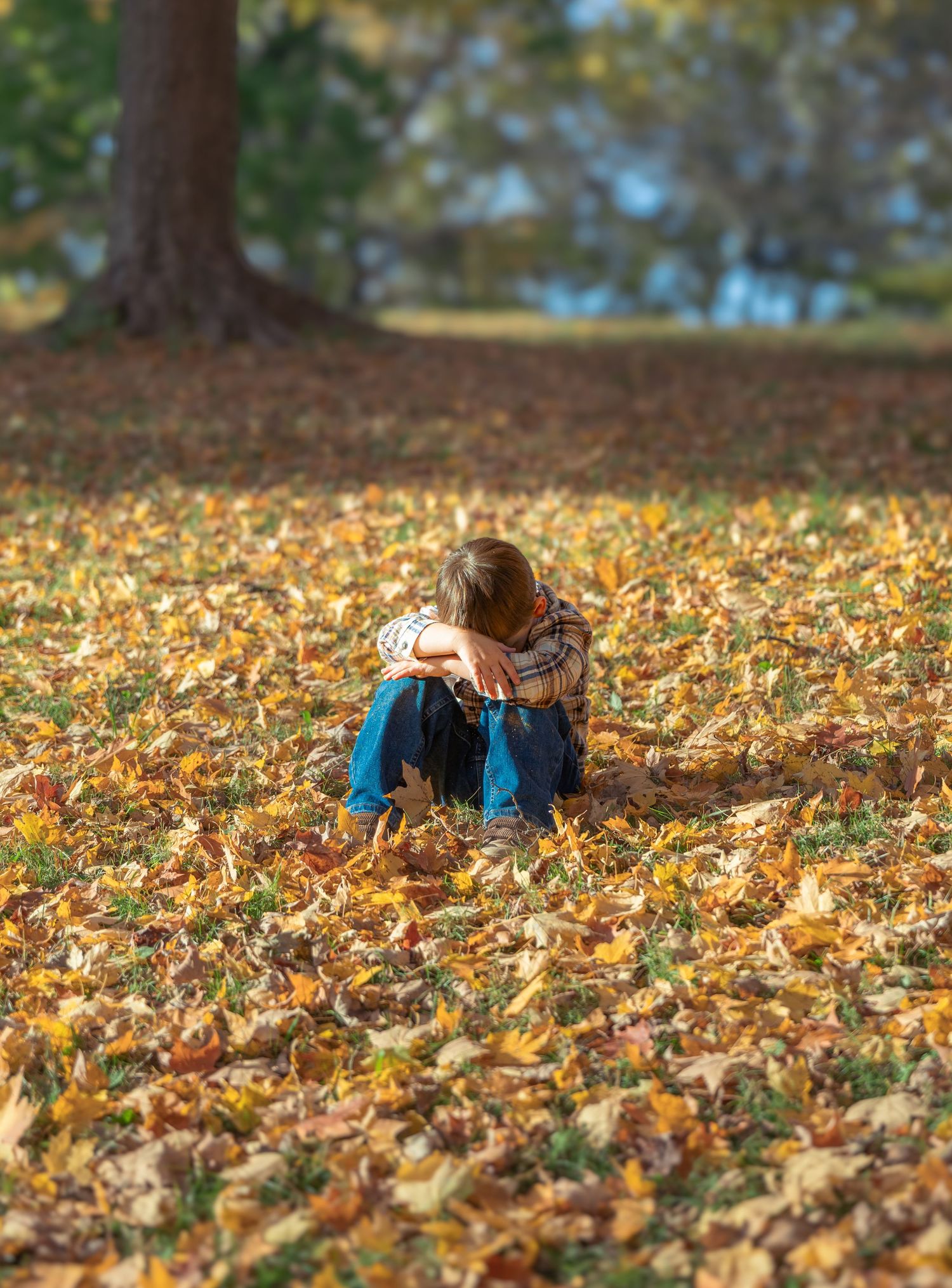 A person lies in a bed of vibrant autumn leaves on the ground during a fall day.