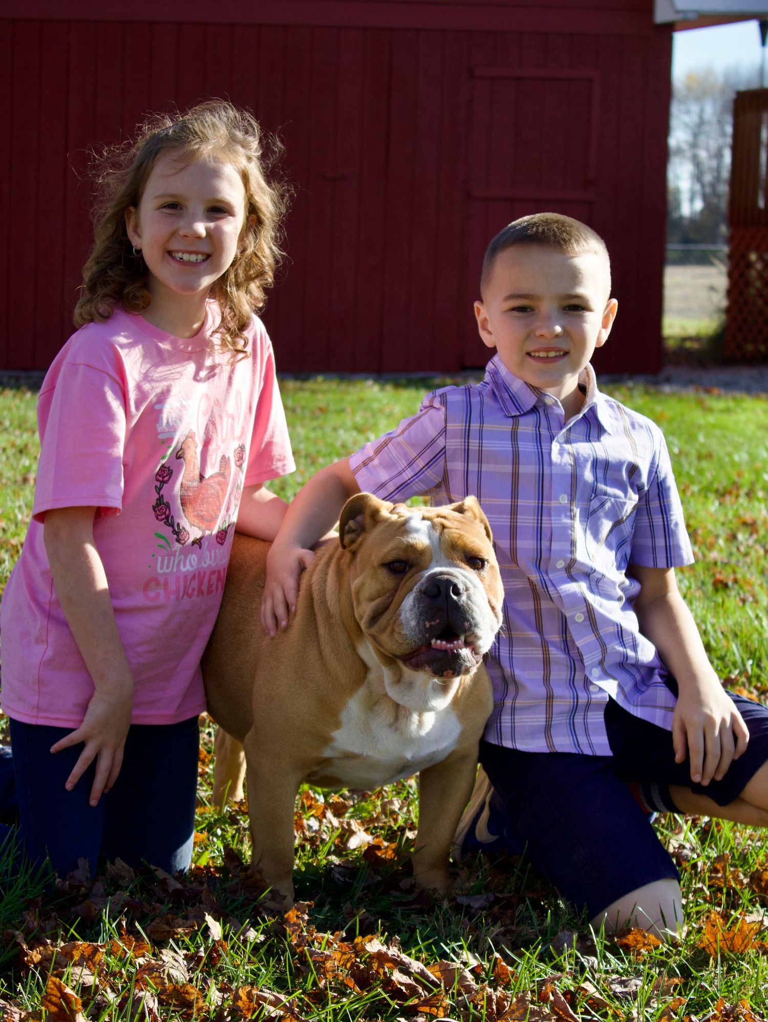 Children sit in autumn leaves with an English bulldog on a sunny fall day outdoors.