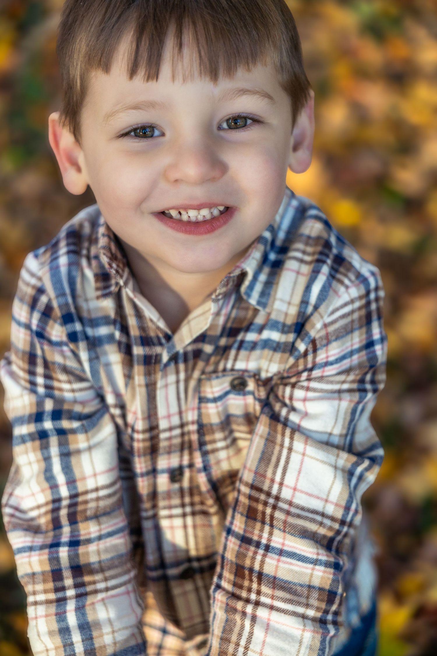 A series of autumn portraits showing a child in a plaid shirt smiling and playing among fallen leaves.