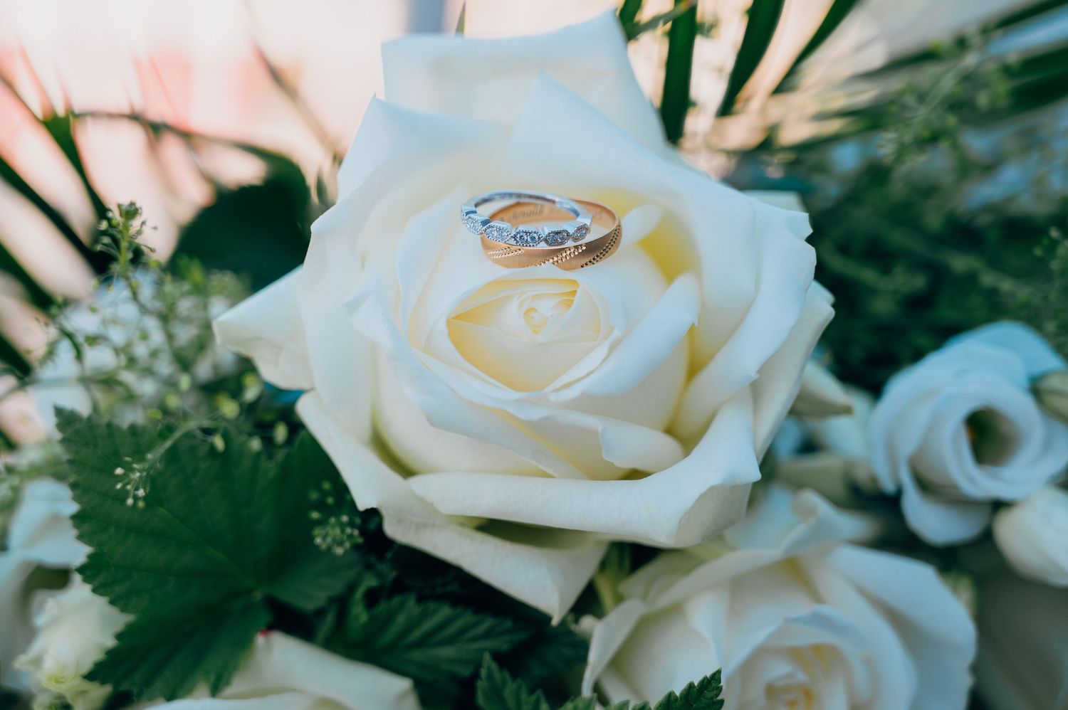Two wedding rings, a gold band and diamond engagement ring, nestled inside a white rose bloom.