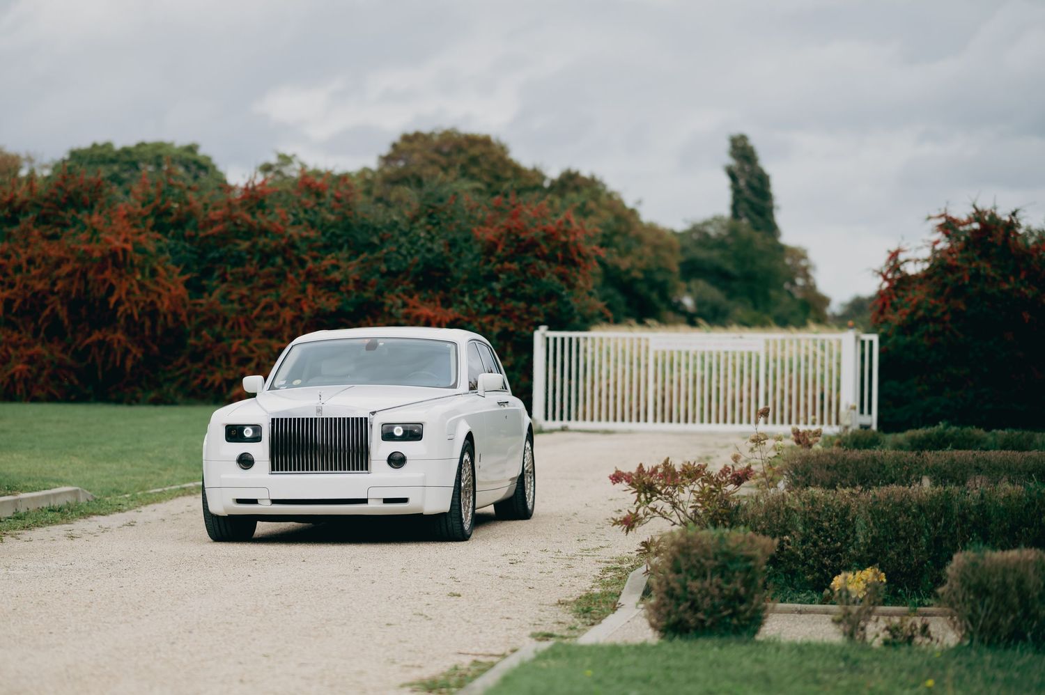 White Rolls-Royce Phantom luxury wedding car driving along a gravel path surrounded by lush gardens.