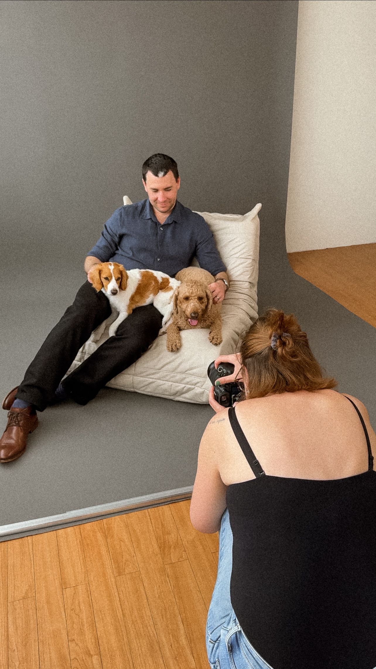 Photo shoot setup with dogs and people relaxing on cushions in modern studio space.