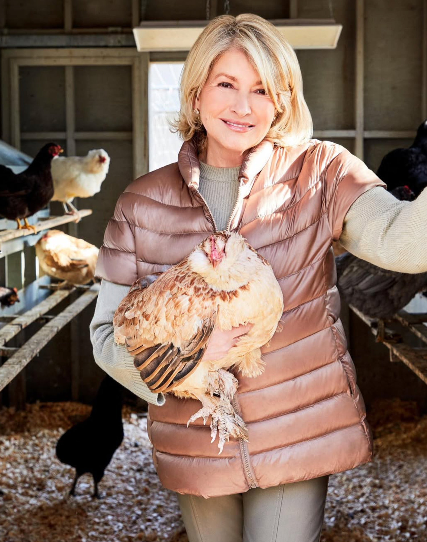 Person in puffy jacket holding a white chicken in a rustic farm setting.