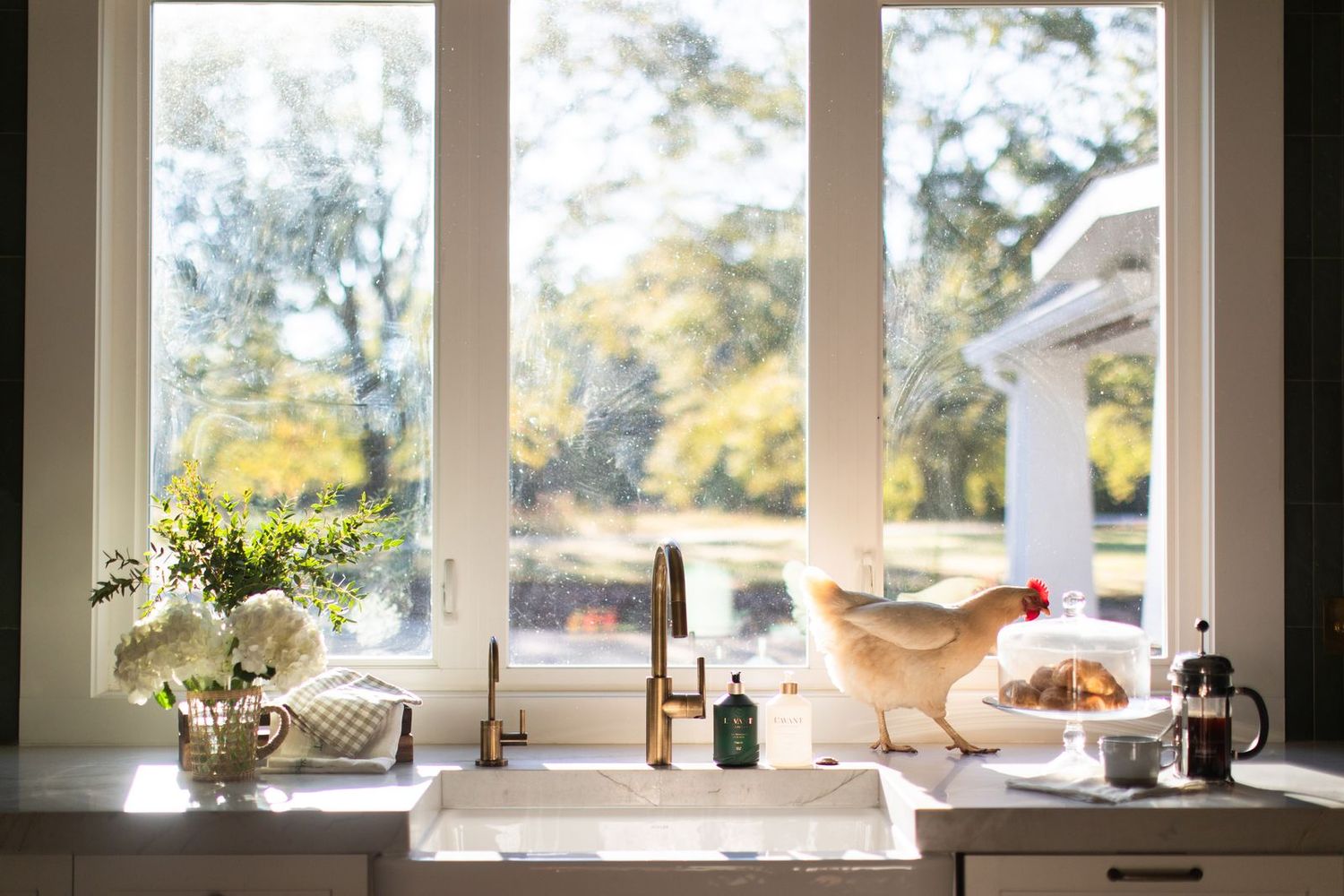 A white chicken stands on a farmhouse kitchen sink beside white flowers, with a sunny window view of trees in the background.