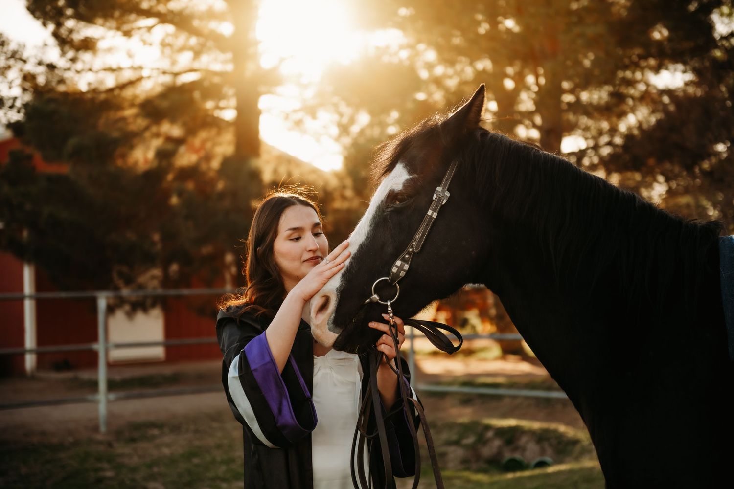 Scenic sunset photoshoot with horses in a pastoral field setting.