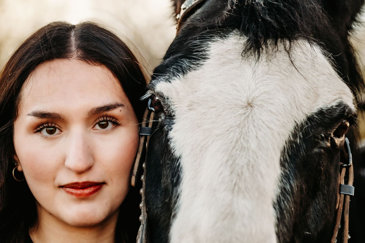 Artistic portraits showing the contrast between a black horse and white horse side by side.