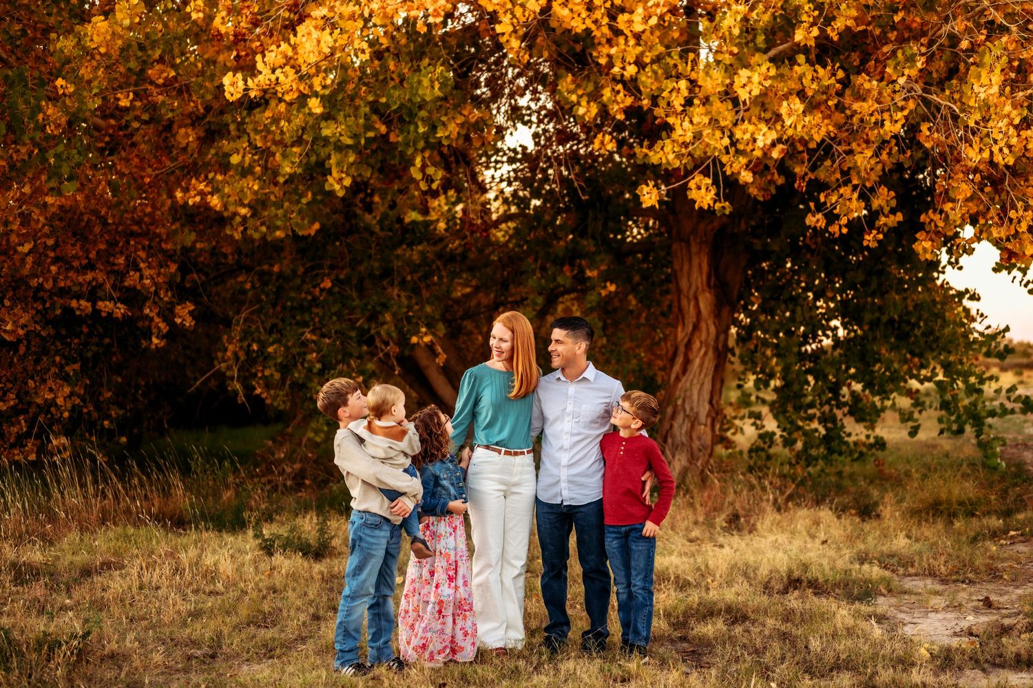 Family portrait session beneath vibrant fall foliage.