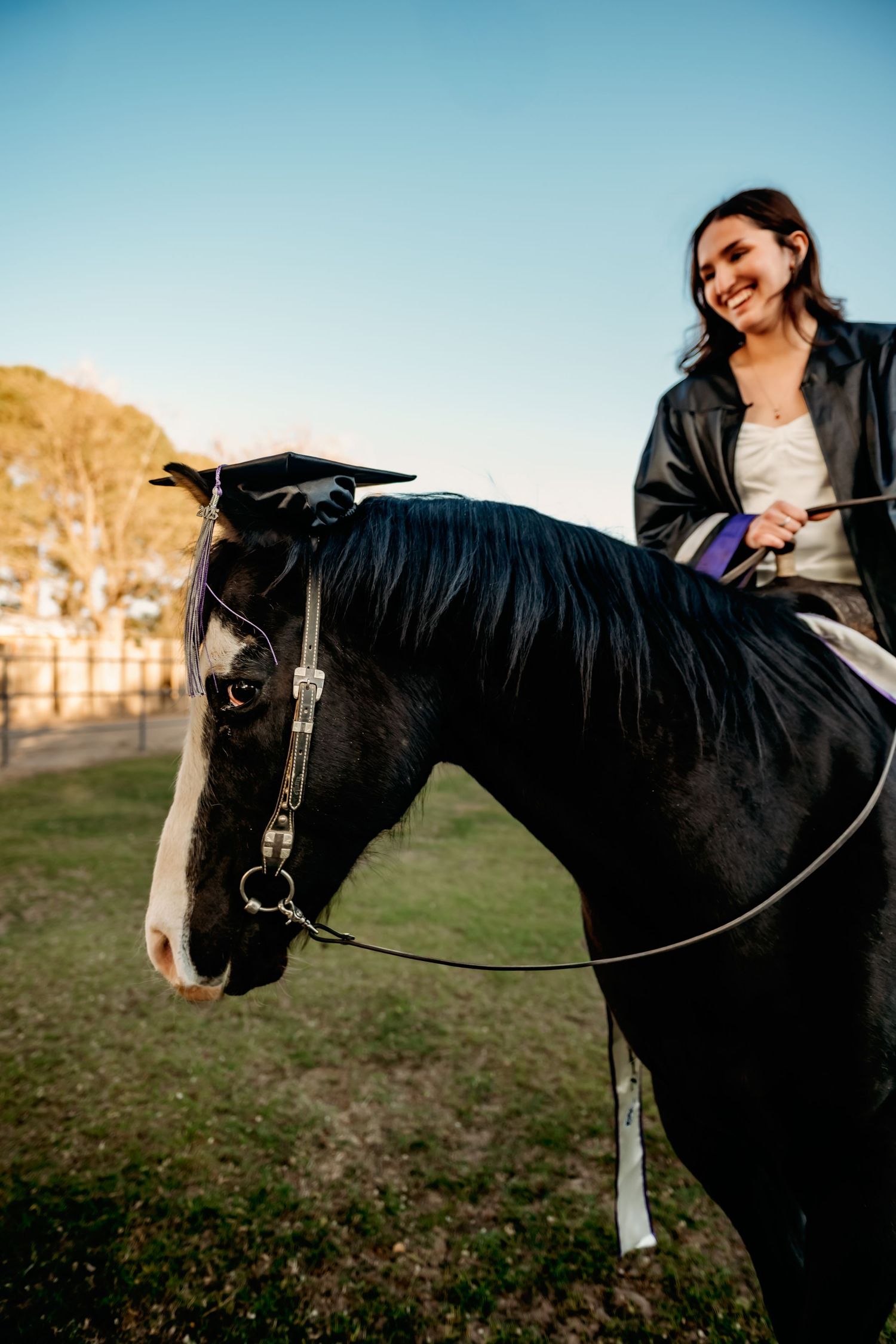 Black horse with riding equipment photographed from different angles in an outdoor field.