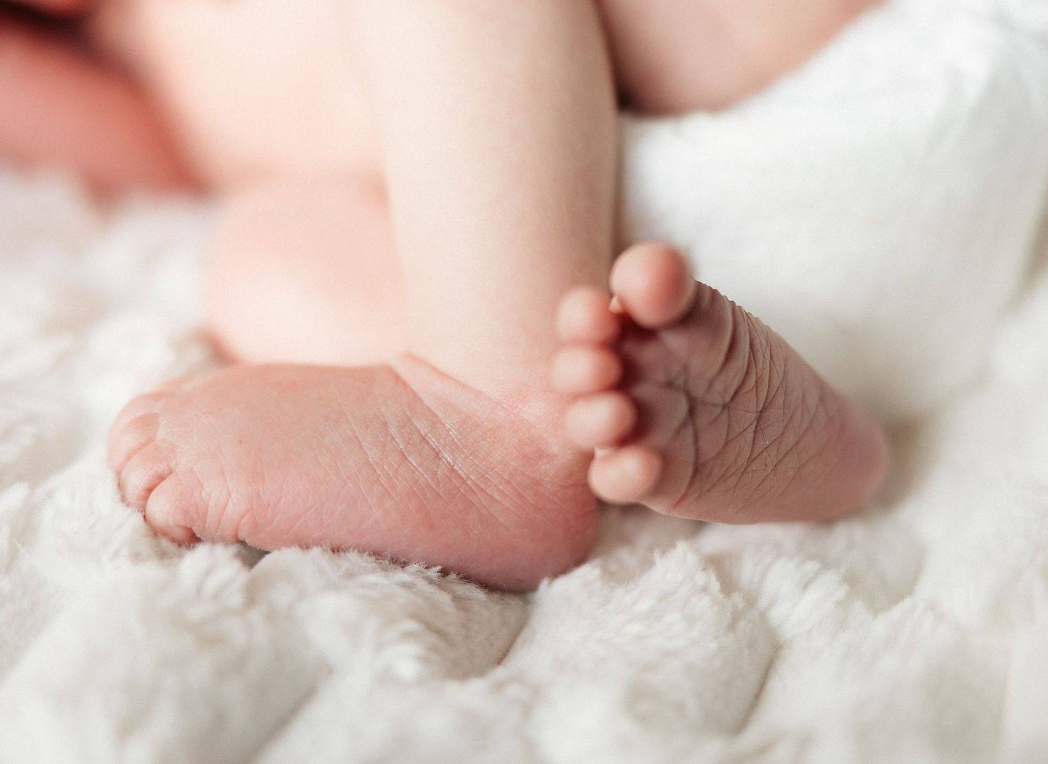 Close-up of soft, chubby newborn baby feet resting on a fluffy white blanket.
