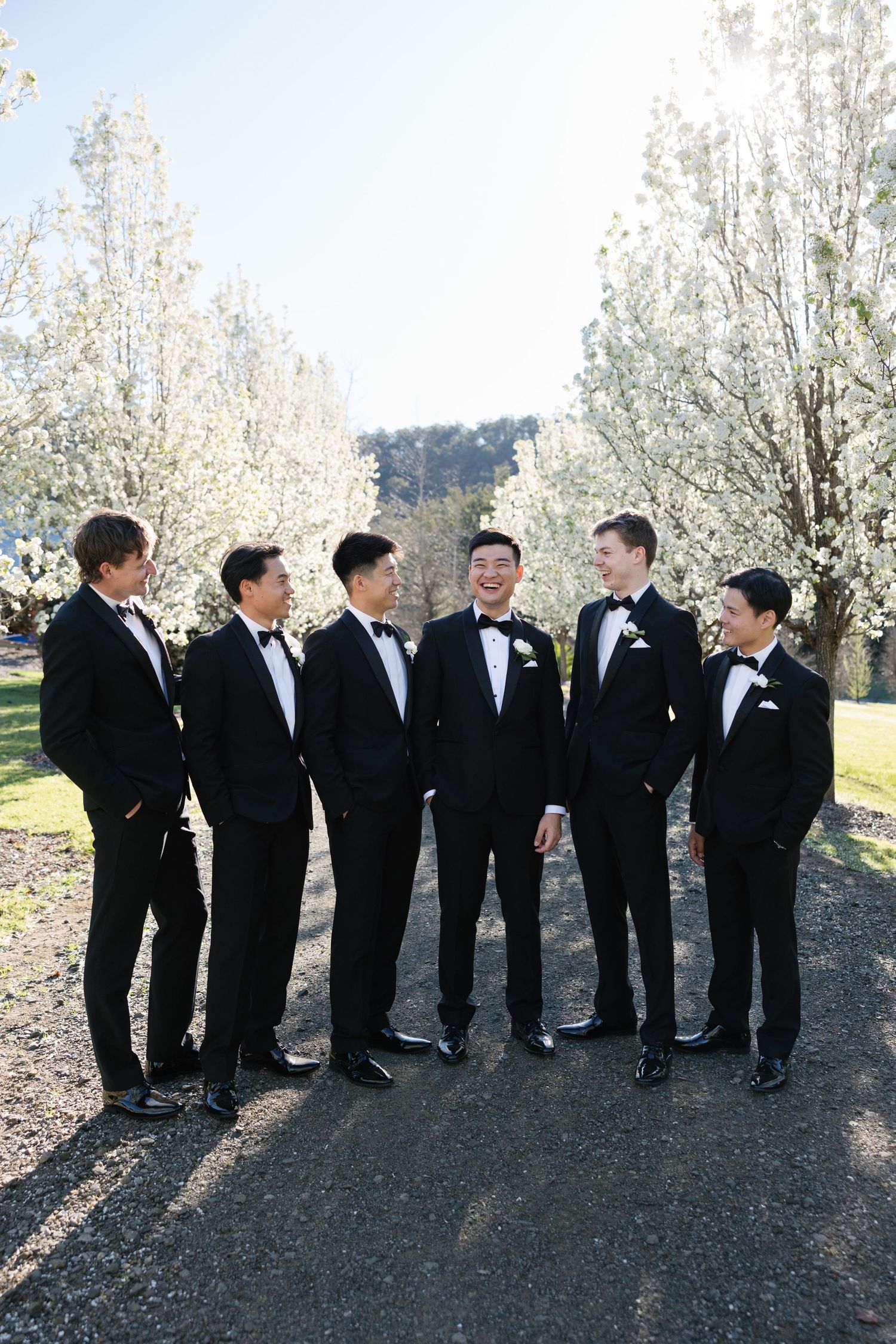 A row of groomsmen in black tuxedos stand together outdoors with blooming white trees in the background.