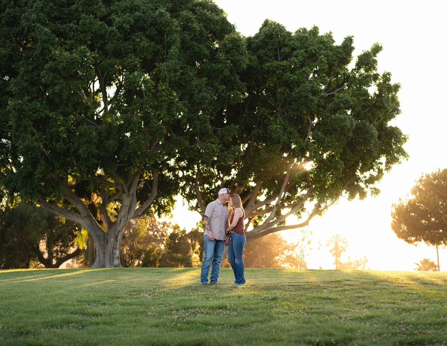 Couple embracing under large green tree in park during golden hour sunset.