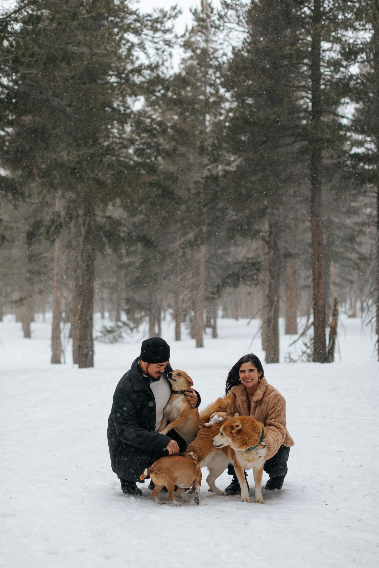 Winter photoshoot featuring a couple and their friendly dog playing in the snow.