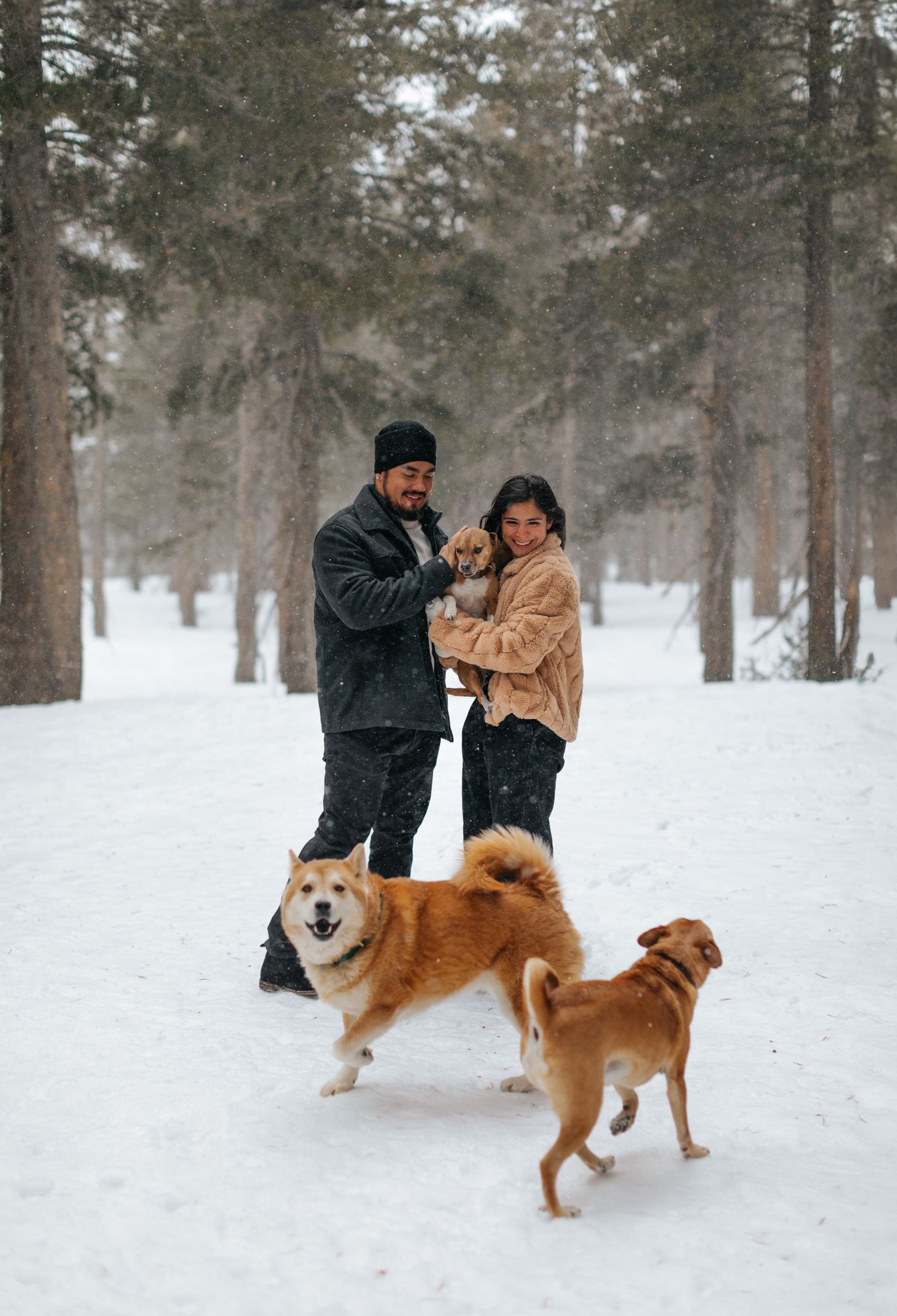 Couple playing with their brown dog in a snowy forest setting.