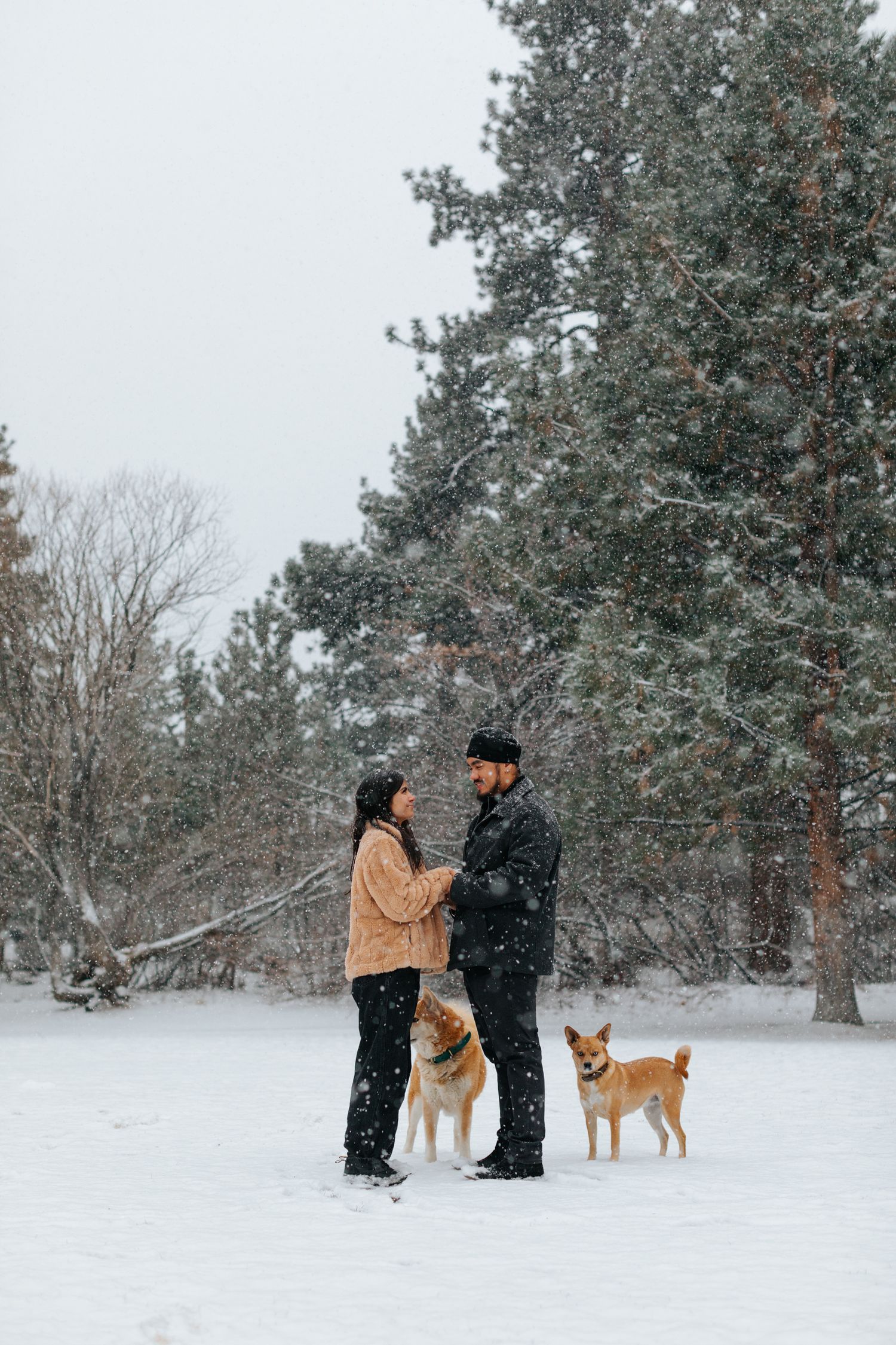 Couple stands together in snowy landscape with two dogs beside them.