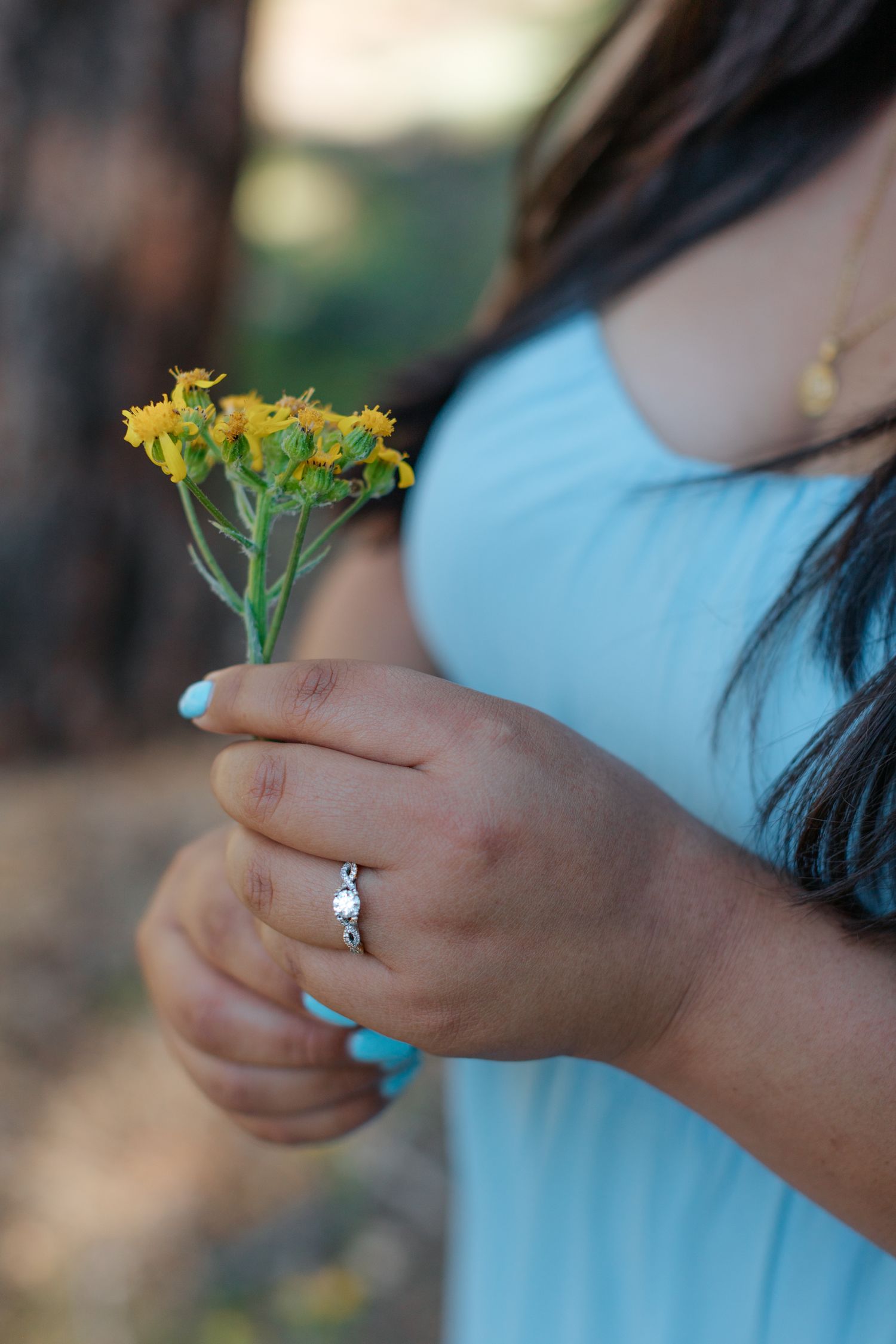 Close-up of hands holding small yellow wildflowers against a light blue background.