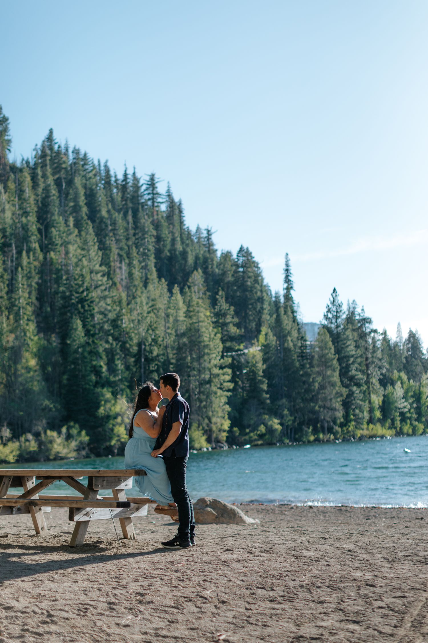 Scenic lakeside beach with pine trees and mountains in the background.